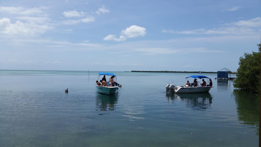 Go Slow Guesthouse Caye Caulker Bagian luar foto